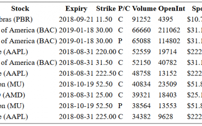 Hot Options Report For End Of Day – Monday, August 29