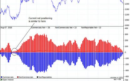 Gold: Bearish Fundamentals, Bullish Sentiment