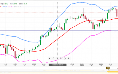 Crude Oil Rises Despite API Data Of Increased Stocks