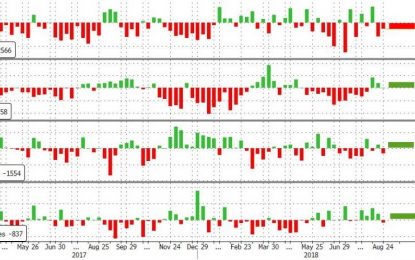 WTI Extends Losses After Smaller Than Expected Crude Draw