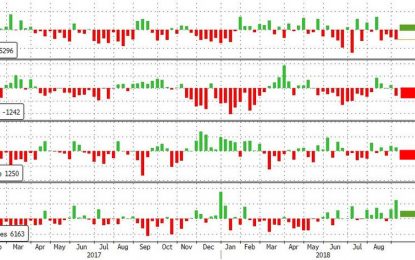 WTI Drops After Surprise Crude Build