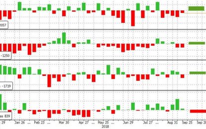 WTI Drops After Surprise Crude, Gasoline Build