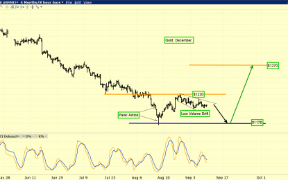 Growth Versus Value: A Generational Low For Gold