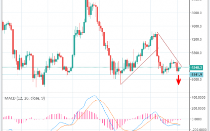 BTC/USD Signal – Wednesday, Sept. 19