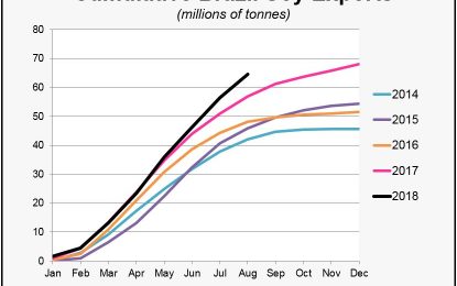 The United States Is Going To Become The Warehouse For Global Soybean Supplies