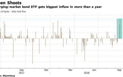 Emerging Market Euphoria Is Back With A Bang