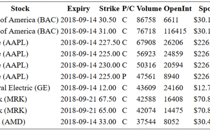 Hot Options Report For End Of Day – Wednesday, Sept. 13