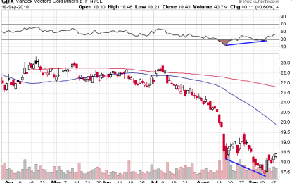 GDX Positive Divergence Leads To Nice Rally