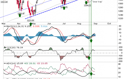 Markets Rally In My Absence; Dow And S&P Opportunity