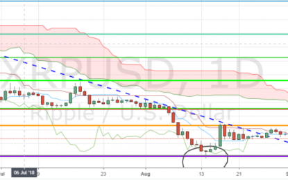 XRP Jumps As Ripple Hints Xrapid’s Launch Could Be Approaching