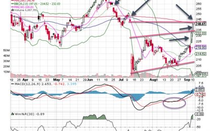 Broadcom Chart Shows Robust Price Action