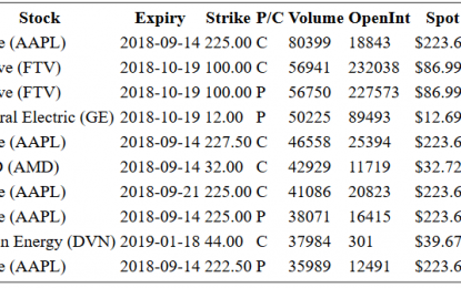 Hot Options Report For End Of Day – Friday, Sept. 14