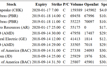 Hot Options Report For End Of Day – Monday, Sept. 10