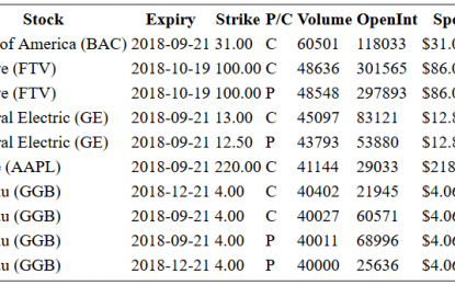 Hot Options Report For End Of Day – Wednesday, Sept. 19