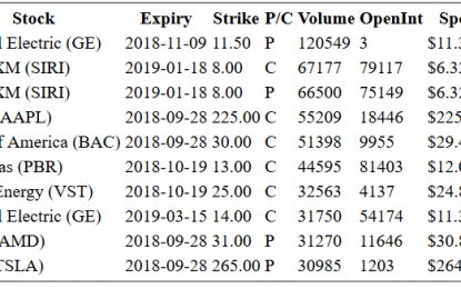 Hot Options Report For End Of Day – Friday, Sept. 28