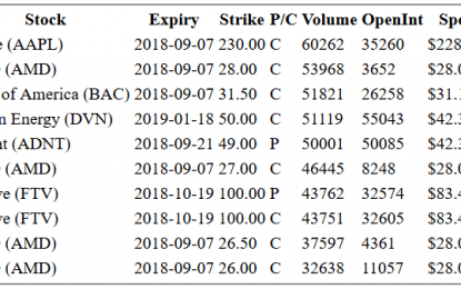 Hot Options Report For End Of Day – Tuesday, September 4