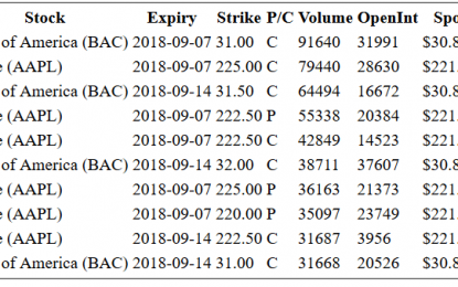 Hot Options Report For End Of Day – Friday, Sept. 7