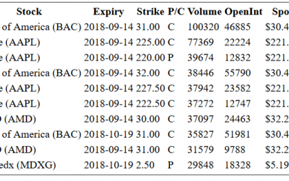 Hot Options Report For End Of Day – Wednesday, Sept. 12