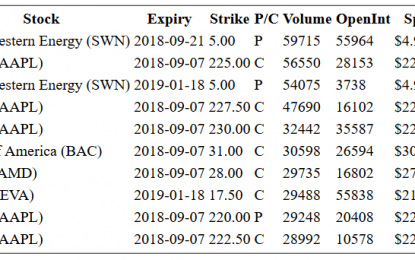 Hot Options Report For End Of Day – Thursday, Sept. 6