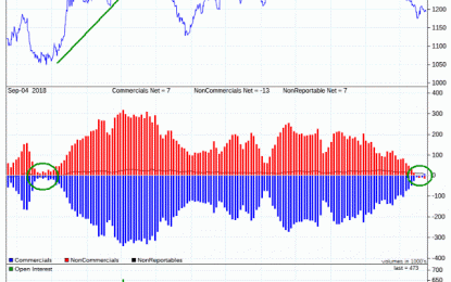 Gold And The Next Financial Crisis