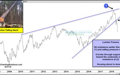 Lumber Prices Fall 45% This Year, Sending Macro Message?