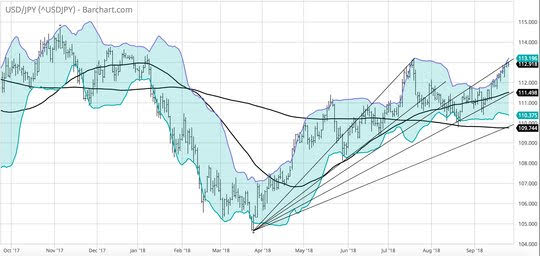 E
                                                
                        Markets: Bluejays