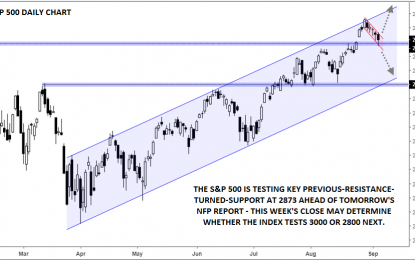 S&P 500: Two Steps Forward, One Step Back