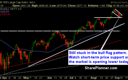 Bull Flag Pattern Still In Play