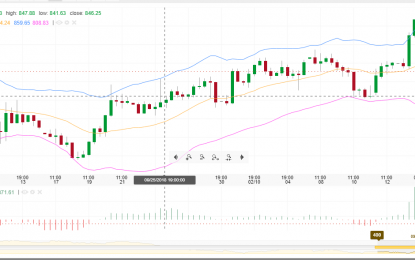 Soybeans Sees A Weekly Gain After WASDE Report