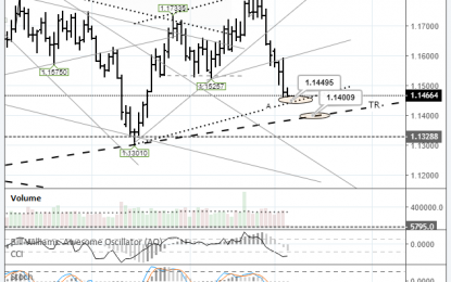 EURUSD: Approaching The Daily Trend Line