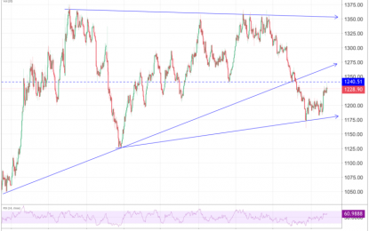 Central Banks And ETF Investors Start Buying Gold Aggressively