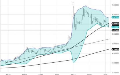 E
                                                
                        Markets: Almost