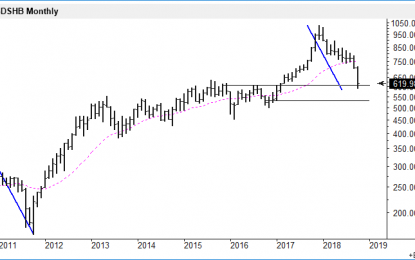 E
                                                
                        Is The Home Construction Index Set For A Snap-Back Rally?