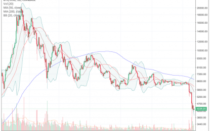 Bitcoin’s Latest Price Plunge Finally Wakes Up (Search) Interest