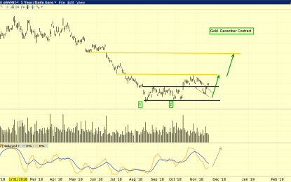 Trigger Time For Gold Stocks