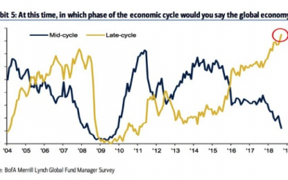 Do Investors Need Stop Losses?