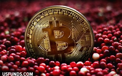 What Thanksgiving Cranberries And Bitcoin Have In Common