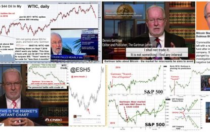 US Stock Market – Re-Coupling With A Panic Cycle?