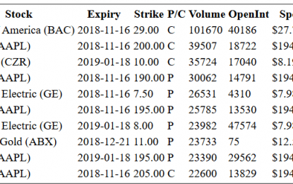 Hot Options Report For End Of Day – Monday, Nov. 12