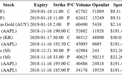 Hot Options Report For End Of Day – Thursday, Nov. 15