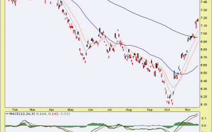 Slowly We Turn… Gold Vs.