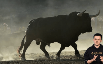 Binance CEO CZ Predicts A Crypto Market Bull Run