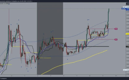 Solana And Cardano: Solana Jumps To The 47.00 Level