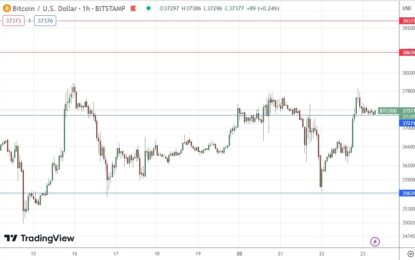 BTC/USD Forex Signal: Bullish Consolidation Near Long-Term High