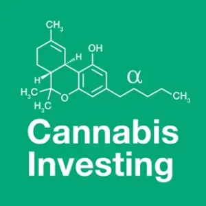 American Cannabis MSO Stocks On The Rebound