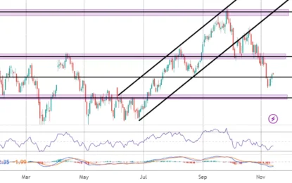 Crude Oil Commentary