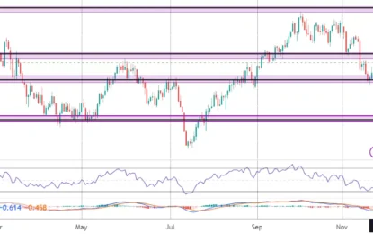 US Market Commentary – Friday, November 24