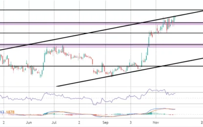 Bitcoin Commentary – Friday, November 24