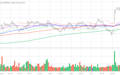 Chart Of The Day: Garmin – Popular With Retail Investors