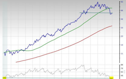 2 Top S&P 500 Stocks To Buy On The Dip For Big 2024 Gains